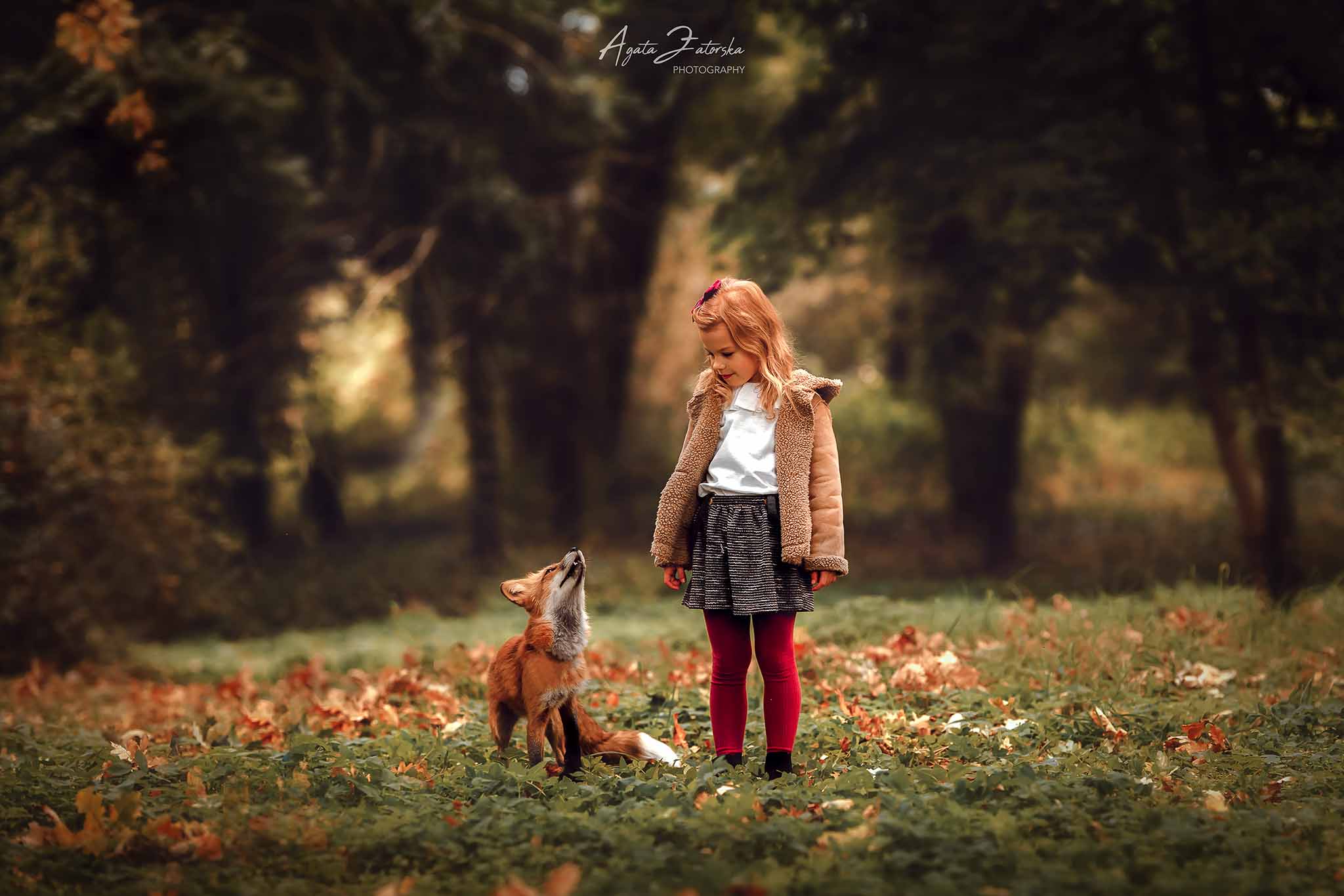 Agata-Zatorska-Profoto-kolektywne-studio-gdansk-trojmiasto-sesja-ze-zwierzetami-15